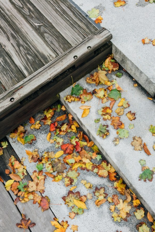 autumn-leaves-scattered-on-concrete-stairs