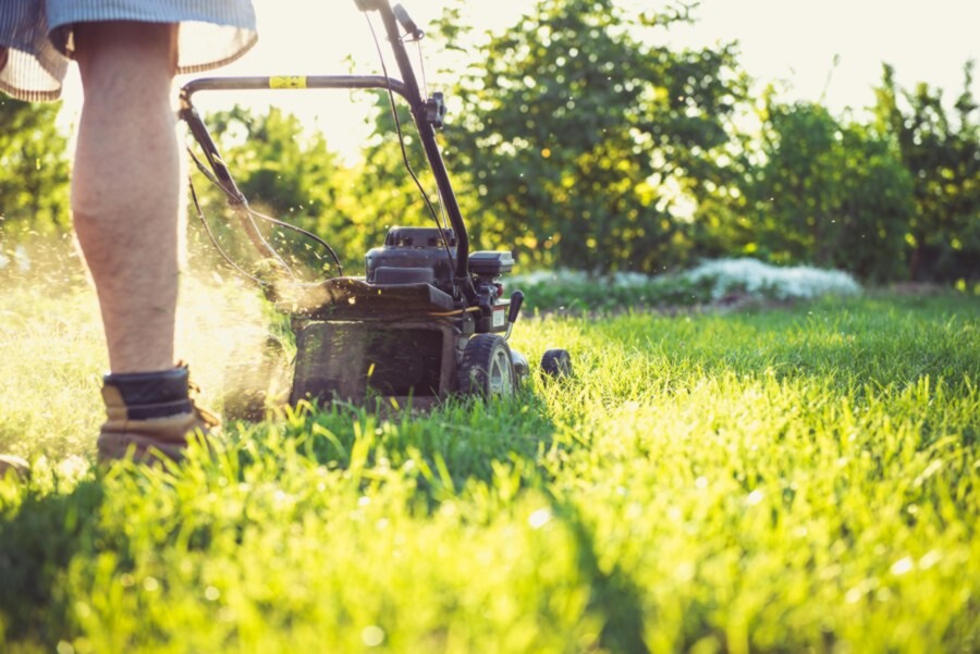 image of lawnmower seen from ground level