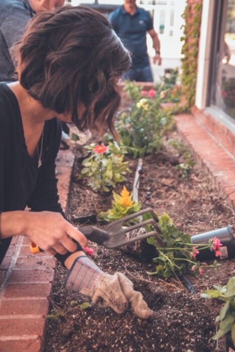 lady planting plants in a raised flower bed