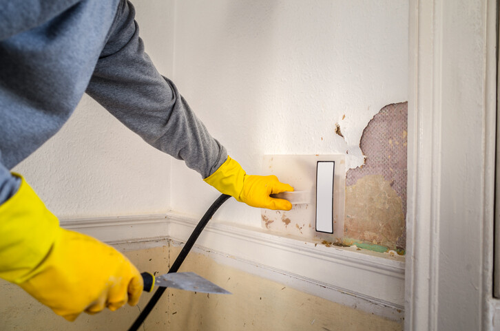 hand in yellow glove using wallpaper steamer on flower wallpaper