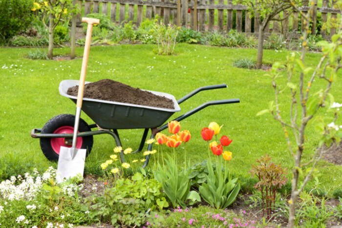 wheelbarrow-and-shovel-by-garden-flowerbed
