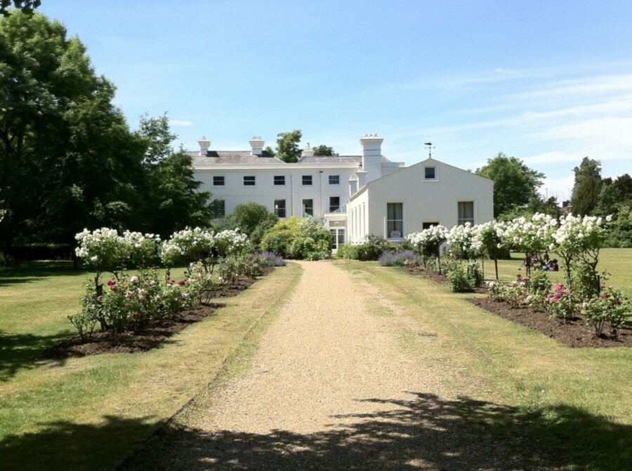 white-manor-house-at-end-of-driveway-lined-with-white-rose-bushes