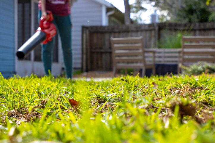 Woman using leaf blower to clear lawn of leaves