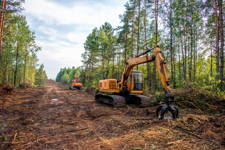 yellow-tracked-excavator-in-forest-clearing-grabbing-a-log
