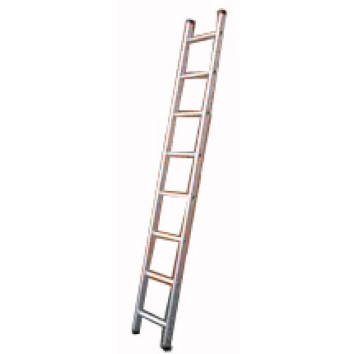 Ladder Single Section 3.0 Metres