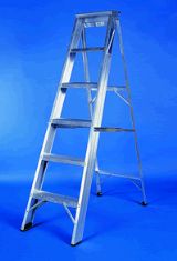 10 Tread Aluminium Swingback Step Ladder