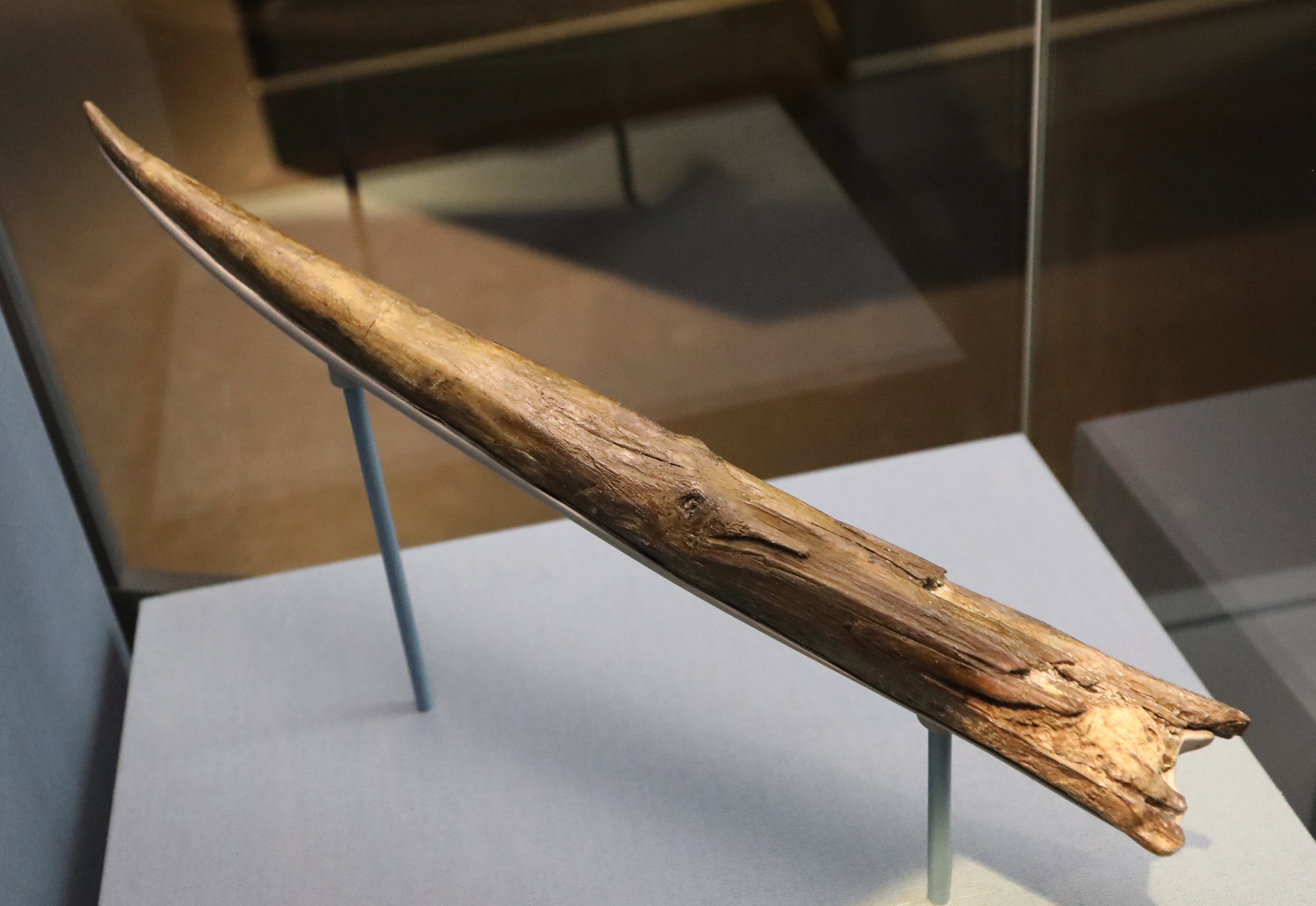 Wood Treatment Lance