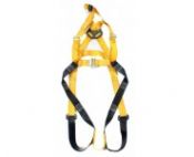Rescue / Recovery Harness