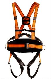 Full Body Saftey Harness & 1-2 M Fixed Lanyard