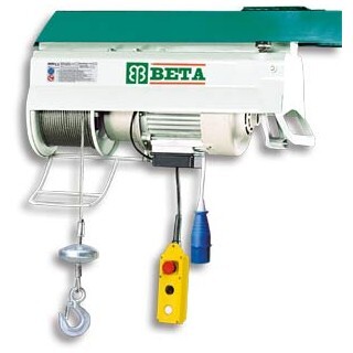 Builders Hoist